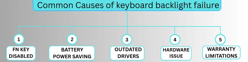 Infographic listing reasons for HP laptop keyboard light not working.