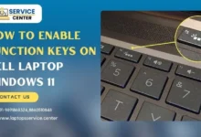How to Enable Function Keys on Dell Laptop windows 11