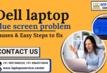 Dell Laptop Blue Screen Problem